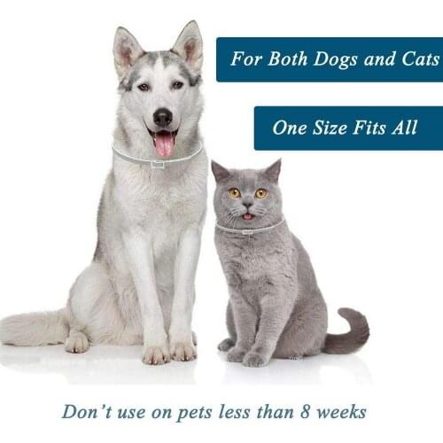 Dog Flea Collar for Pet Cat Anti Flea and Tick Lice Pest Mosquitoes Collars Kill Lice Parasite Deworming for Small Medium Pets