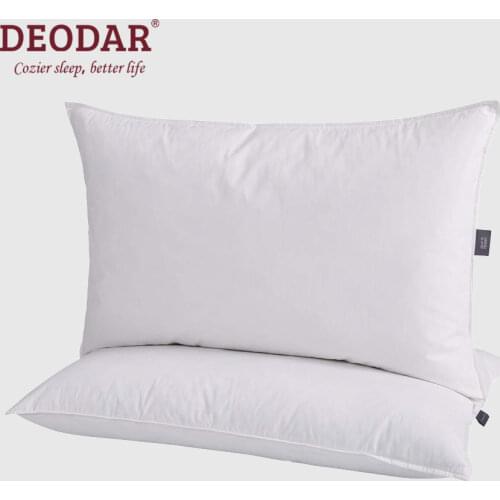 Deodar Cushions