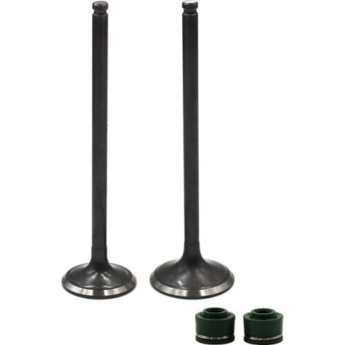 Motorcycle Intake Exhaust Valve Stem Kit for Suzuki DR250 1990-1995 AN250 1998-2007