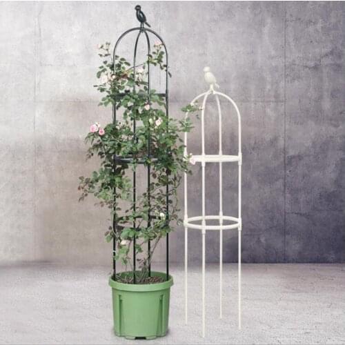 Plants Vines Climbing Frame Flower Protect Stands Plant Support Rack Flowers Trellis Balcony Decor Shelf Plant Cages Garden Tool