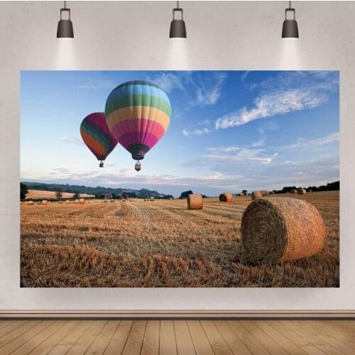 Field Hot Air Balloon Nature Scenery Prop Blue Sky Baby Portrait Photography Backdrop Autumn Background for Photo Studio