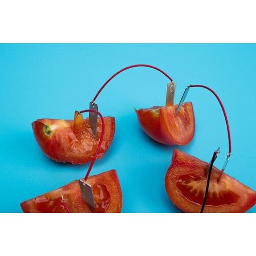 Self-made Fruit Battery Power Generation Experiment Zinc-Copper Chip Potato Technology Small-scale Manufacture Invention Instrum