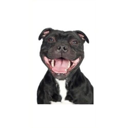 Funny Smiling Staffordshire Bull Terrier Dog Gift Nice Bull Terrier Dogs Beach Travel Towel Microfiber Pup Pup Pet Towels