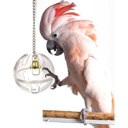 5Pcs Bird Toy Pet Bird Parrot Bell Ball Bathtub Hanging Cage Stand Swing Bite Chew Toy