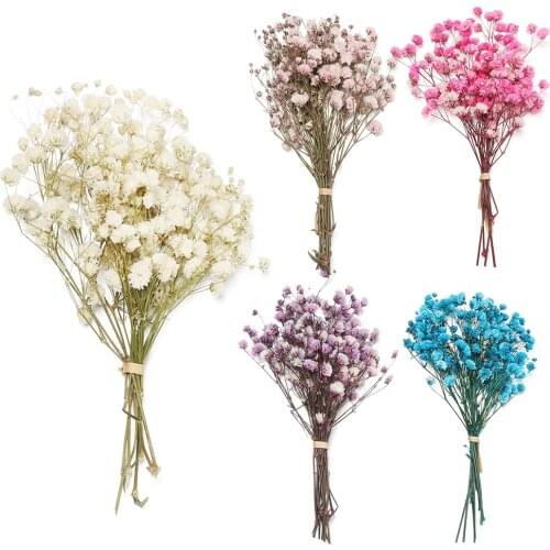 Mini Dried Flowers Babysbreath Flowers Bouquet Natural Plants Decorative preserve Floral for Wedding Home Decoration