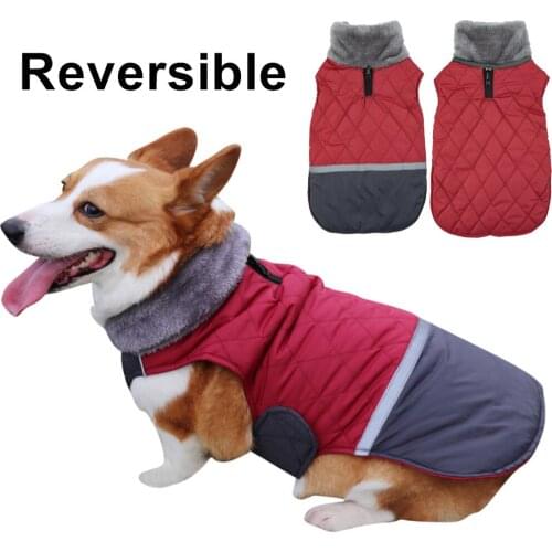 Autumn and Winter Big Fur Collar Dog Clothes New Pet Jacket Double-sided Dog Clothes Worn Waterproof Pet Coat