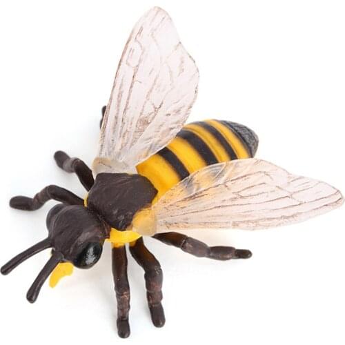 3D Insect Model Bee Growth Cycle Model Learning Toys Education Kids Toys Plastic