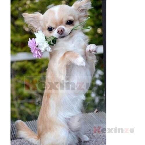 Kexinzu Full 5D DIY Square/Round Drill Diamond Painting "Animal Dog" 3d Diamond Embroidery Cross Stitch Decor Gift Ke03