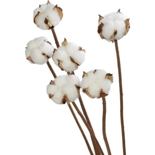 6pcs/Lot Naturally Dried Cotton Flowers Artificial Plants Floral Branch for Wedding Party Home Decor Fake Flowers Retro Style