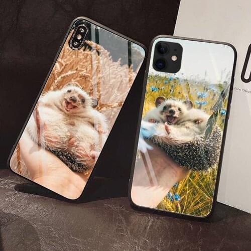 Happy hedgehog sunflower Phone Case Tempered Glass For iPhone 12 Pro Max Mini 11 Pro XR XS MAX 8 X 7 6S 6 Plus SE 2020 case