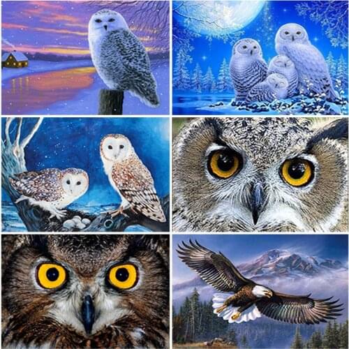 DIY Owl 5D Diamond Painting Full Square Drill Mosaic Cross Stitch Kit Animal Diamond Embroidery Rhinestone Wall Art Home Decor