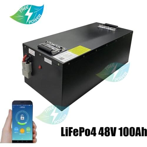 Lithium 48v 100AH lifepo4 batterie with BMS for tricycle golf cart inverter Solar energy storage scooter + 10A charger