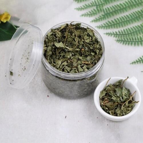 Cat Toy Organic Catnip 100% Premium Natural Cattle Grass 10g Menthol Flavor Funny Cat Interactive Cat Toy Non-toxic Dropship