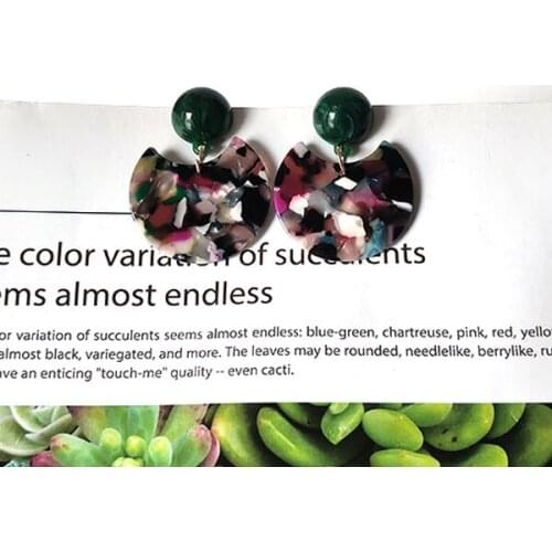 2020 New Top Fashion Tin Alloy Casual/sporty Brincos Para As Mulheres Aros Mujer Oreja Crescent Acetate Earrings