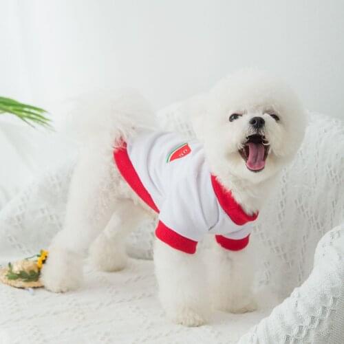 Dog Clothes Fruit T-shirt Summer Dog Clothes Cat Teddy Spring and Summer Thin T-shirt Pet Bichon Small Puppies Pet Clothes