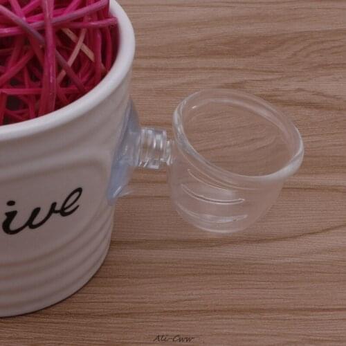 Glass Pot Plant Kerf Cup Holder Shrimp Aquarium Fish Tank Aquatic Feeder New DropShip