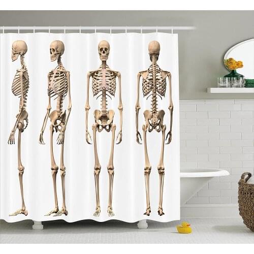 Human Anatomy Shower Curtain Man Male Human Skeleton Skull Different Perspectives Medical Humor Illustration Bath Curtains