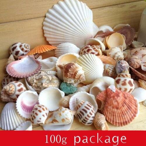 100g/bag Mix Aquarium Beach Nautical DIY Shells Mixed Bulk Seashell