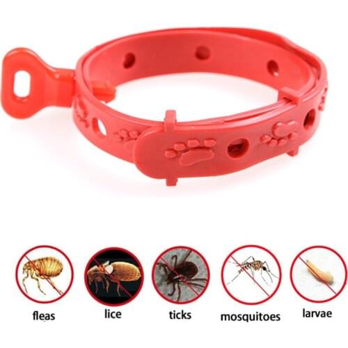 Adjustable Cat Dog Pest Control Collar Aroma Anti Flea Tick Lice Pet Neck Collar Magic Pest Killer For Cat Dog Care Accessories