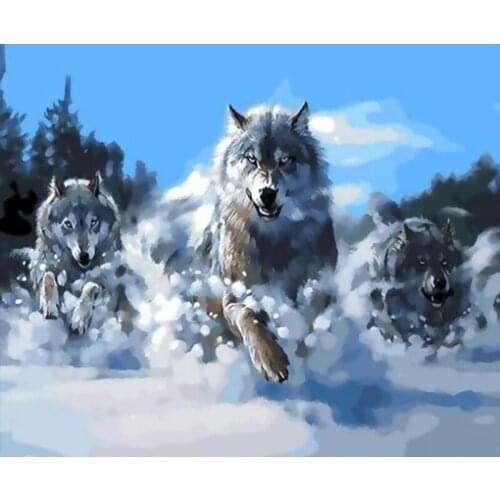 DIY Paints By Numbers Wolf Animals 50x40cm Art Pictures Set Coloring Decorative Canvas Wall Artcraft Oil Painting By Numbers