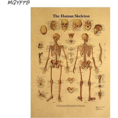 Human Body Structure DiagramBonesKraft Paper Wall Poster Household Goods 42x30cm