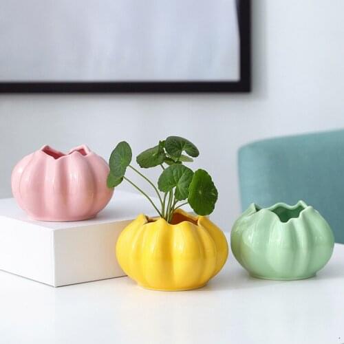 Ceramic Hydroponic Flower Pot Planter Cactus Pot Home Decoration Ornaments Garden Supplies Bonsai Succulent Plant Pot