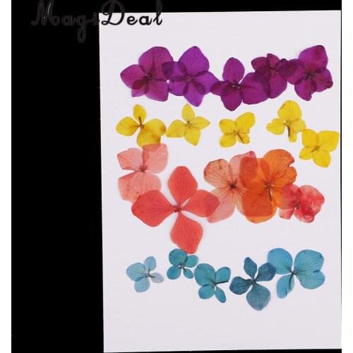 20pcs Hydrangea Natural Real Pressed Dried Flower Embellishment for Scrapbooking Jewelry Making Crafts