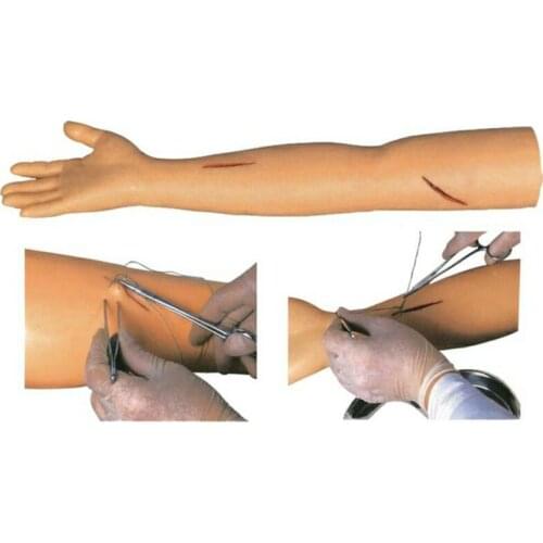 Medical Science Subject Simulator Series Advanced Suture Practice Arm for teaching