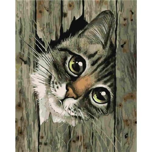 Verf Meisje Schilderij Van Nummers Landschap Diy OliePaint by Number View Canvas Verf Art Pictures Home Decor 40X50cm Cute Cat