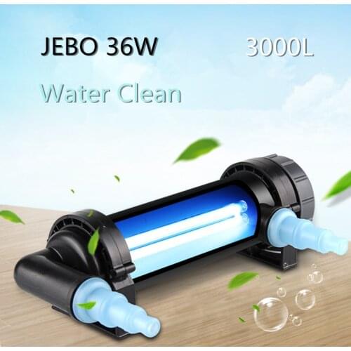 Coospider Light Bulbs