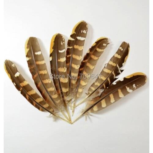 100Pcs/Lot!-5-7"12-18cm Long Venery Pheasant Quill Feathers for Diy Carnival Costume Mask Headdress,Plumas Decoration,Fly Tying