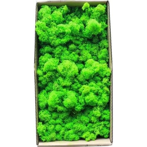 1500g Simulation Plants Eternal Life Moss /Garden Home Decor Wall DIY Flower Material Mini Garden Micro Landscape Fake Moss Gift