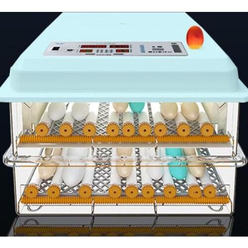 The Machine For Incubating Chickens, Household Incubators, Electric Incubators, Automatic Incubators, Egg Ifiers, Chicks And Egg