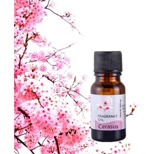 10ml Air Freshening Dropper Essential Oil Flower Fruit Humidifier Fragrance Relieve Stress Aromatherapy Essential Oil TSLM2