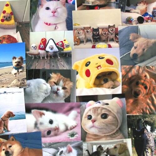 4Sheets Cute Cat Stickers Animal Stationary Sticker For Notebook Kawaii Dog Paper Sticker Scrapbooking Decorative Dairy Album