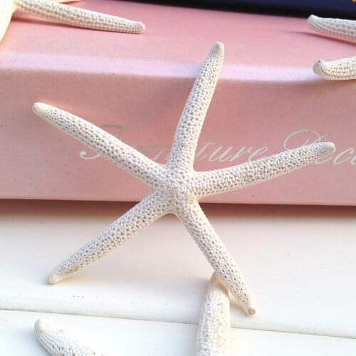 Natural big shell white fish tank decoration 10pcs/lot 6-10cm White sea Starfish Real Finger Star fish