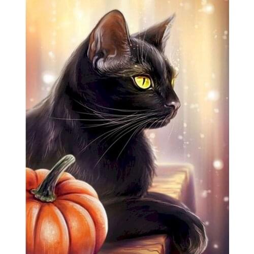 RUOPOTY Painting By Numbers For Adults Black Cat Halloween Pumpkin Lantern Oil Paint Kits Framed On Canvas Modern Home Decor