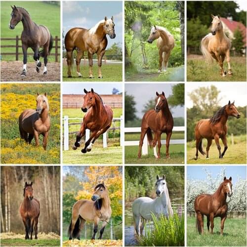 5D Diy Diamond Painting Horse Full Square Drill Diamond Embroidery Animals Picture Mosaic Rhinestone Wall Art Home Decor