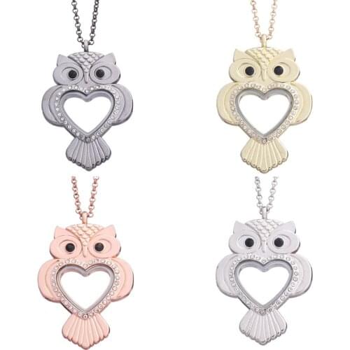 1pcs Alloy owl Heart animals Rhinestone Magnetic Glass Lockets Living Memory Floating Charm necklace Women with 60cm chain