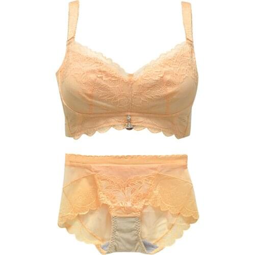 NoEnName Lace Sexy Lingerie Bra Set Panties For Women Brief Bralette plus size Floral Wire Free Mesh Cropped Top soutien gorge