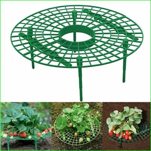 Home Plastic Round Strawberry planting Shelf Hanging Trellis Fence Balcony Vegetable Climbing Support Shelf Gardening Bracket