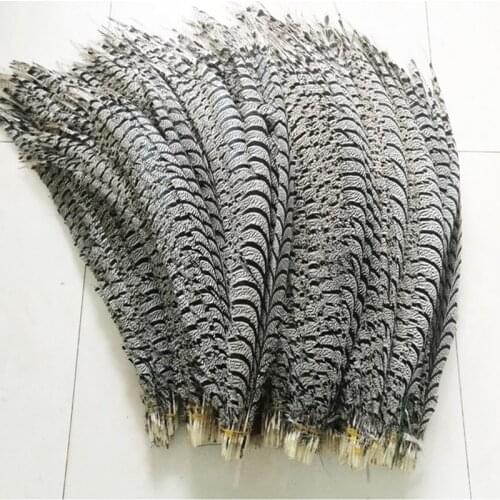 Wholesale 10 pcs long 80-100 cm pheasant feather natural zebra pheasant tail feather Sam ba Lady Amherst pheasant feather