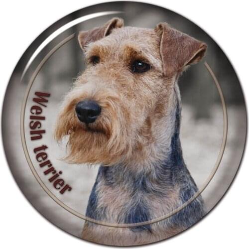 A0628# 13cm/17cm Removable Decal Welsh Terrier Breed Dog Car Sticker Waterproof Accessories on Bumper Rear Window Laptop