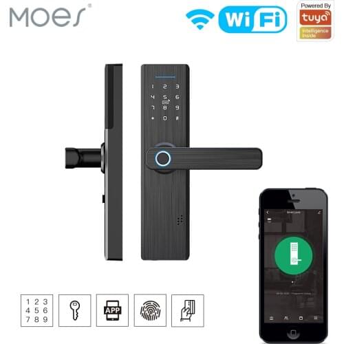 MOES Electric Locks
