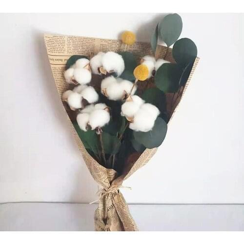 Dried Cotton Flowers Natural Eucalyptus Leaves Dry Flower Wedding Deco Marriage Party Home Living Room Decoration Accessories
