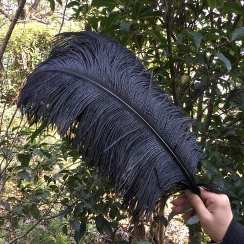 Big Pole Natural Black Ostrich Feathers for Various Crafts DIY Ostrich Feathers, Wedding Feather Decoration 16-18inch 40-45cm