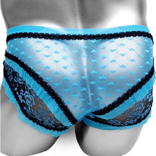 Dot Mesh See Through Softy Gay Sissy Panties Sexy Lingerie Underwear Low Rise Breathable Men Underpants