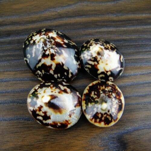 3-4cm Marine Decoration Conch Natural Ornaments Shell Wedding/Festival/Party Decoration Great Gift