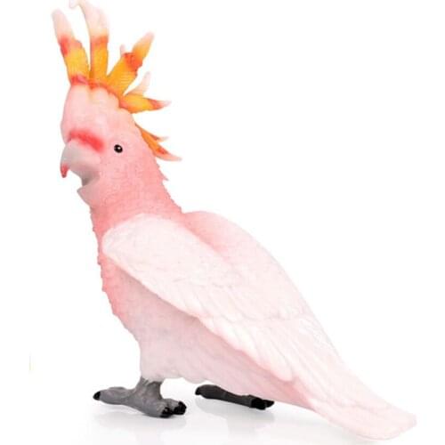 Forest Toucan Cockatoo figure Simulation Animal Model Bird Parrot Figurine home decoration children gift collecitible toy