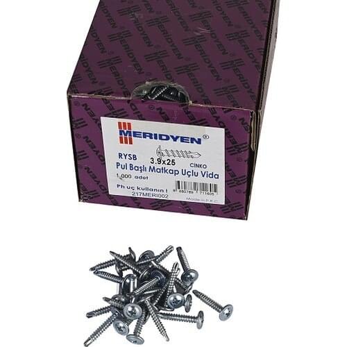 Meridian 3.9x25mm Meridyen Washer Head Self Drilling Screw 1000 Pcs